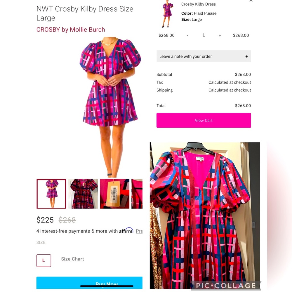 Crosby by Mollie Burch Kilby dress